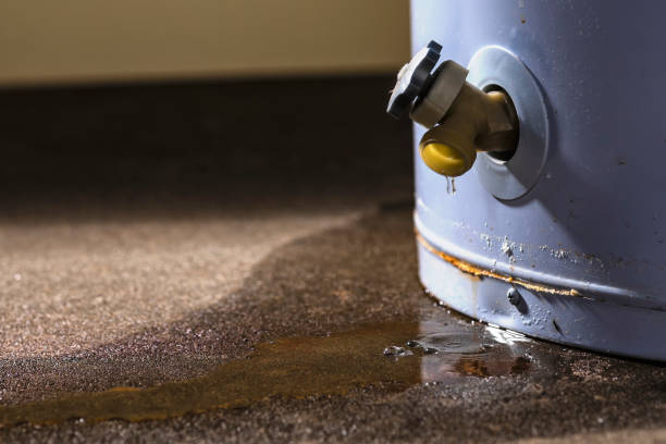 Best Mold removal after water damage  in Hainesvle, IL