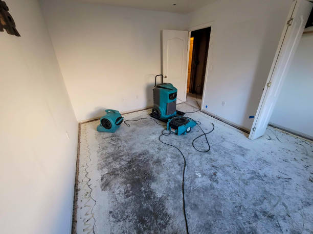 Sewage cleanup and water damage restoration in Hainesville, IL