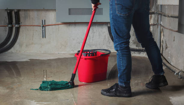 Best Water damage restoration services  in Hainesvle, IL