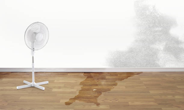 Reliable Hainesville, IL Water damage restoration Solutions