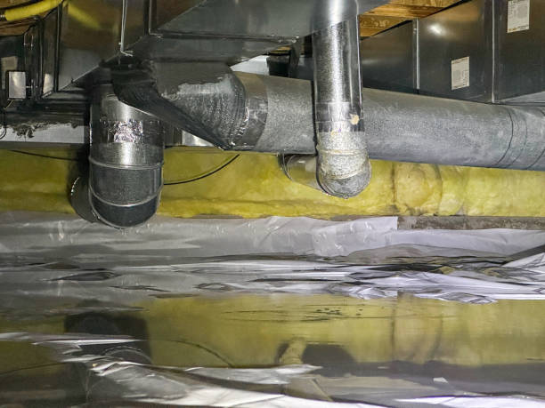 Best Emergency water damage restoration  in Hainesvle, IL