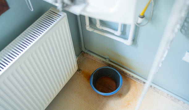 Best Water damage restoration cost  in Hainesvle, IL