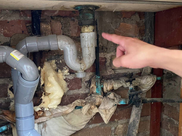 Best Water damage cleanup near me  in Hainesvle, IL