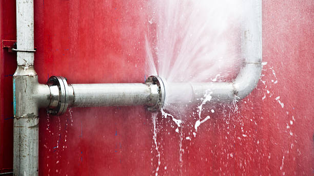 Best Water damage restoration insurance claims  in Hainesvle, IL